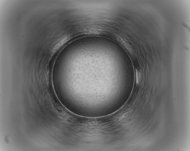 X0000098020675200804111258