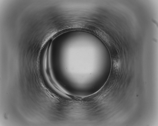 X0000098020676200804111258