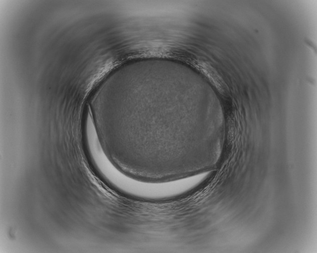 X0000098020677200804111258