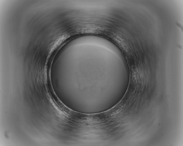 X0000098020678200804111258