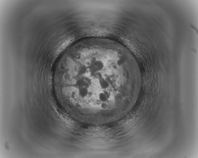 X0000098020679200804111258