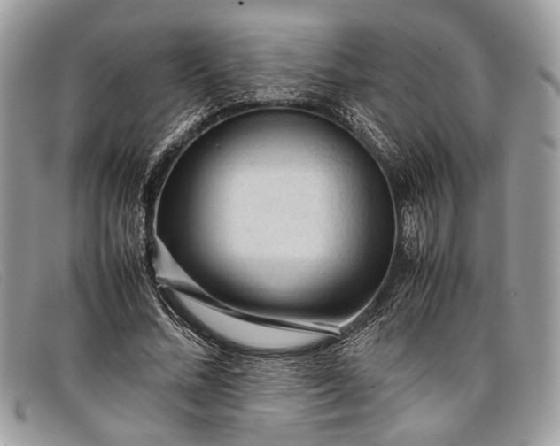 X0000098020684200804111258