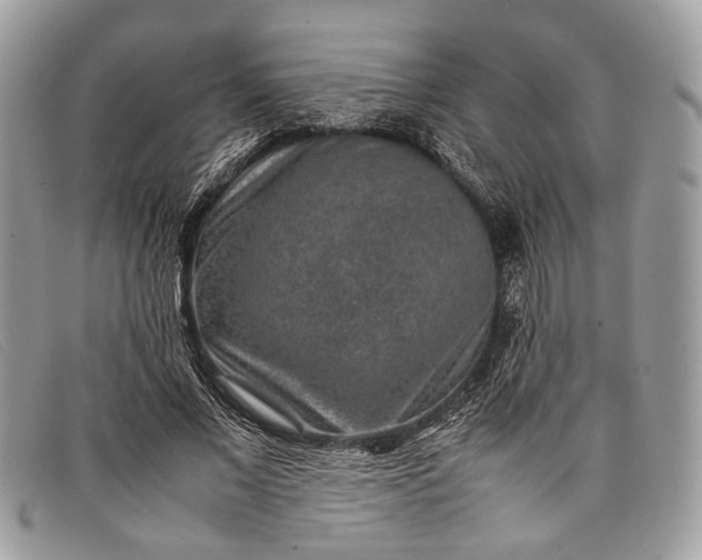 X0000098020685200804111258