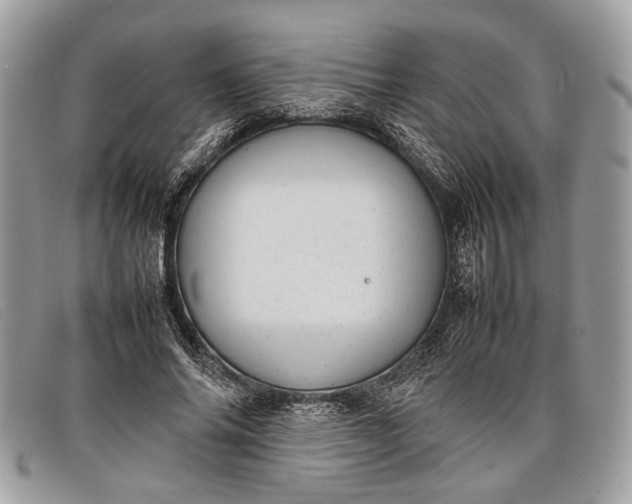 X0000098020686200804111258