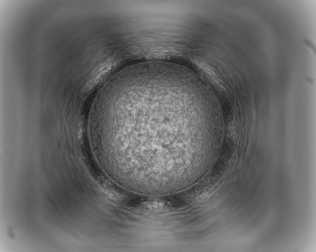 X0000098020687200804111258