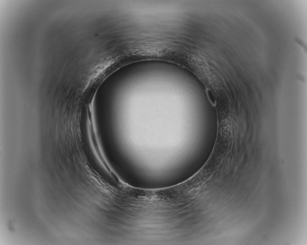 X0000098020688200804111258