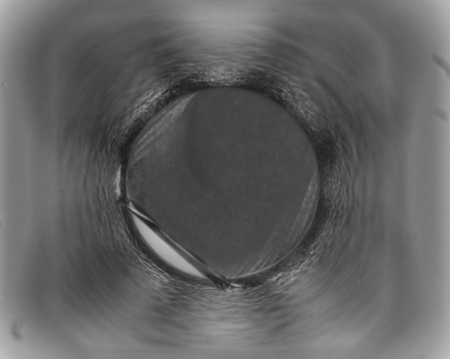 X0000098020689200804111258