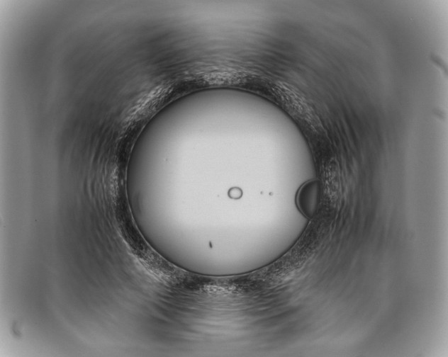 X0000098020690200804111258