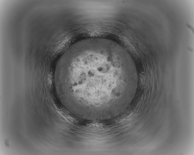 X0000098020691200804111258