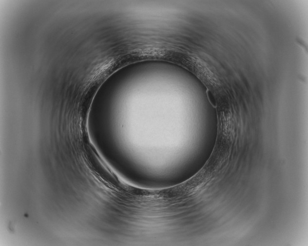 X0000098020692200804111258