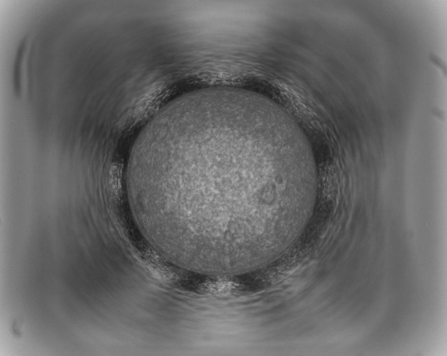 X0000098020695200804111258