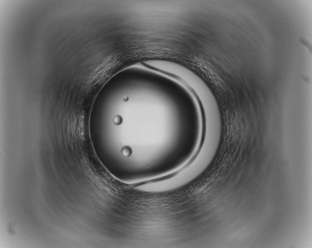 X0000098020696200804111258