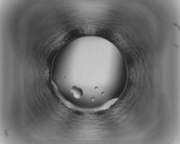 X0000098020697200804111258