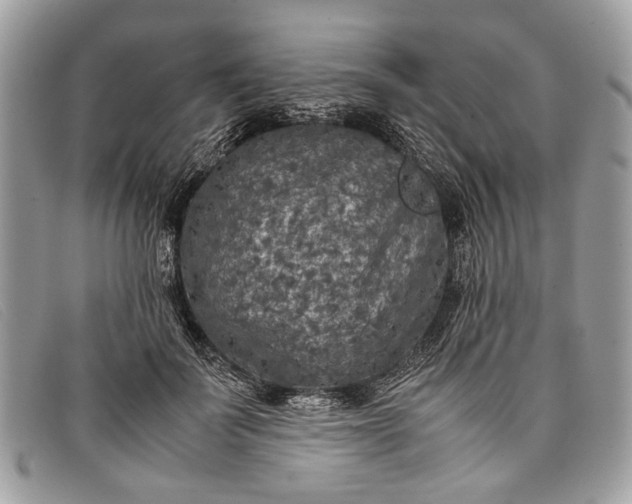 X0000098020699200804111258