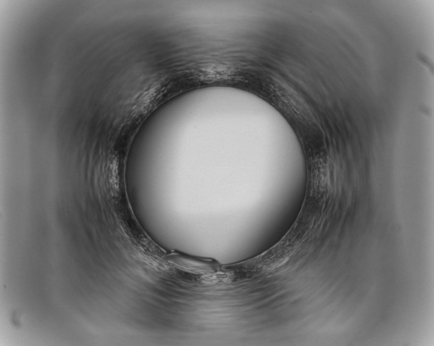 X0000098020700200804111258