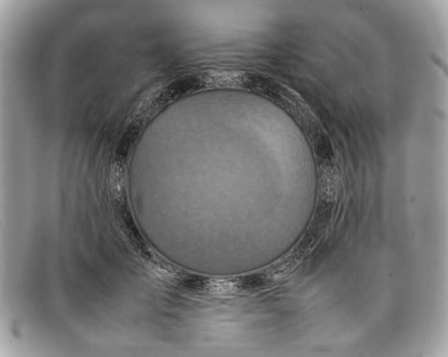 X0000098020701200804111258