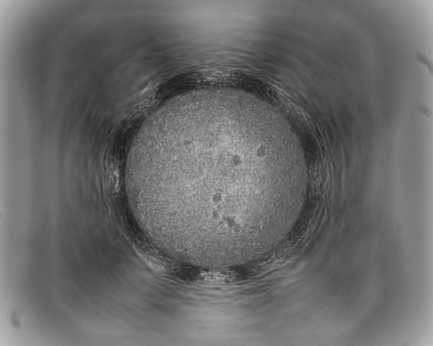 X0000098020703200804111258