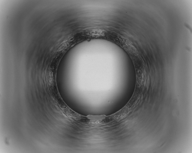 X0000098020704200804111258