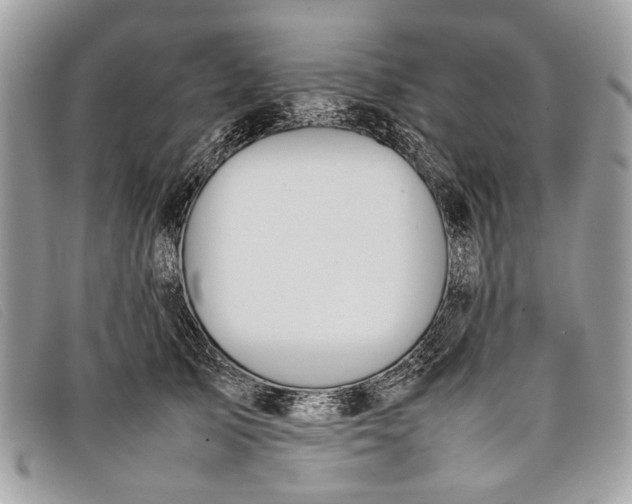 X0000098020705200804111258