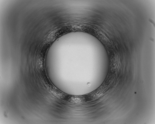 X0000098020706200804111258