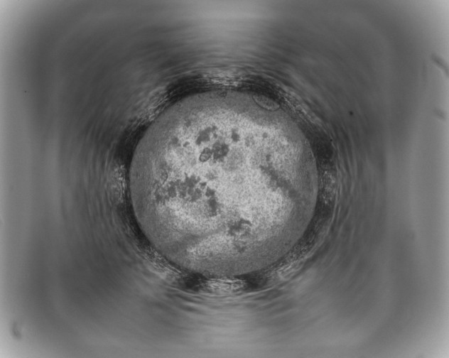 X0000098020707200804111258