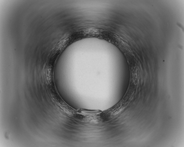 X0000098020708200804111258