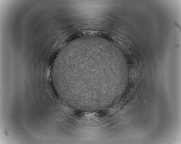 X0000098020709200804111258