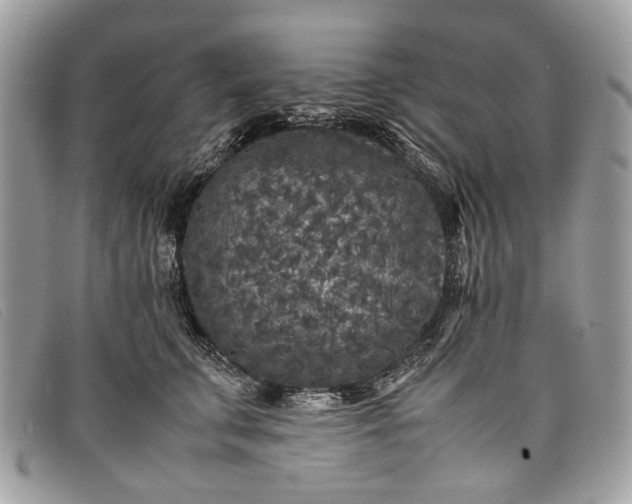 X0000098020711200804111258