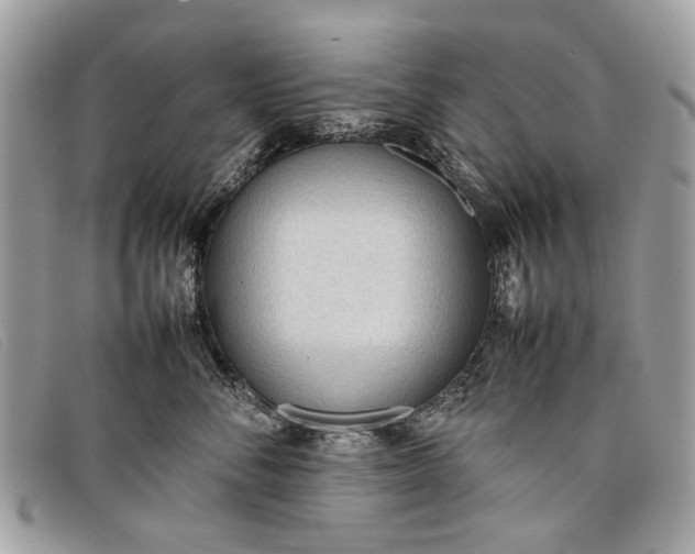 X0000098020716200804111258