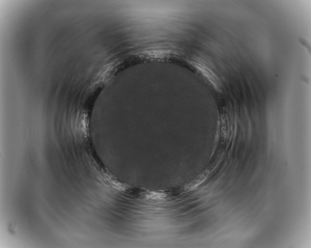 X0000098020718200804111258