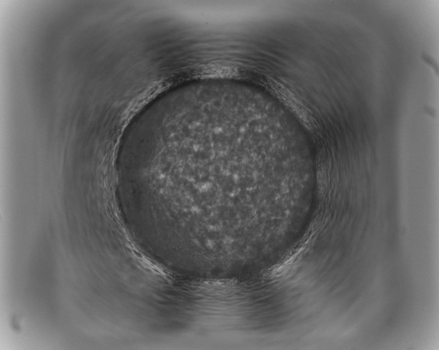 X0000098020721200804111257