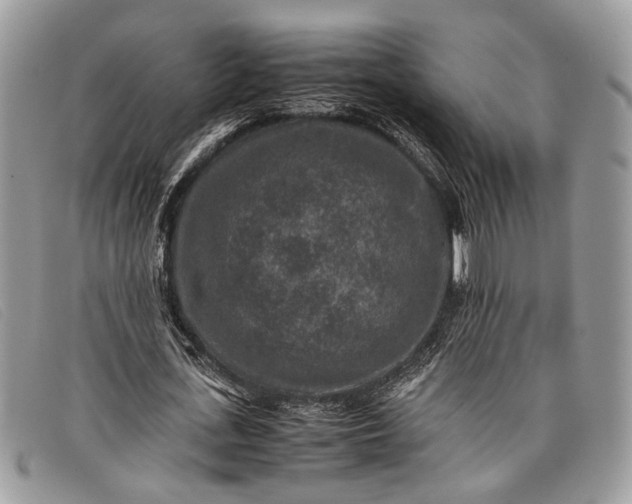 X0000098020723200804111257