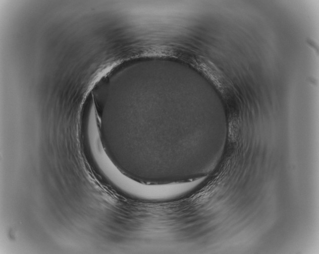 X0000098020724200804111257