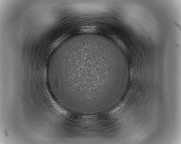 X0000098020725200804111257