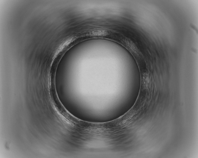 X0000098020726200804111257