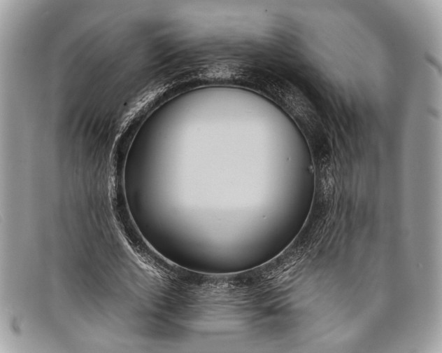 X0000098020728200804111257