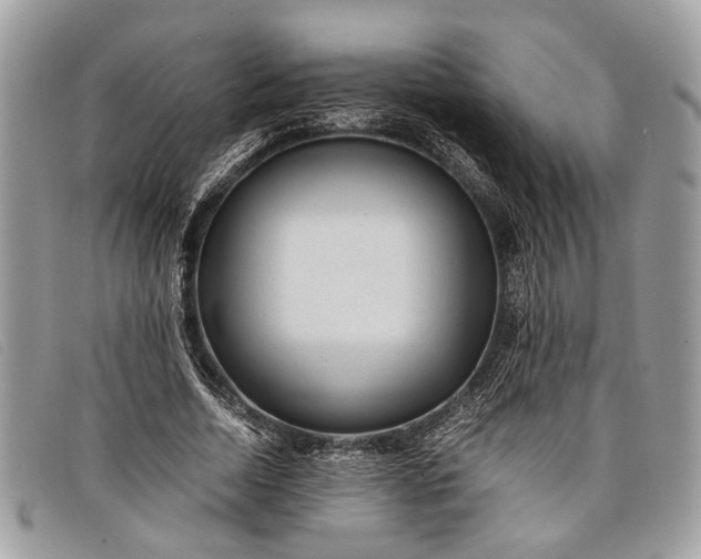 X0000098020730200804111257