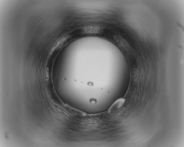 X0000098020731200804111257