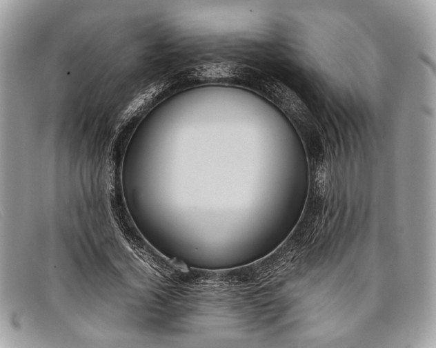 X0000098020732200804111257