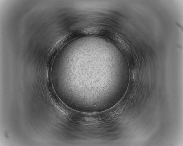 X0000098020733200804111257