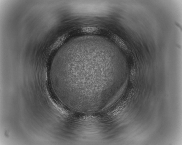 X0000098020734200804111257