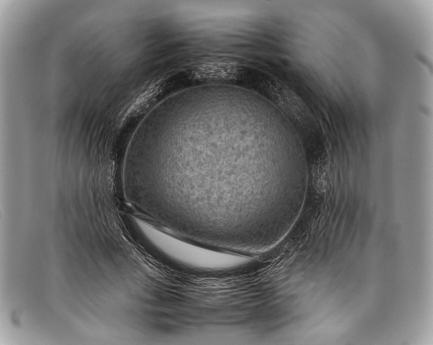 X0000098020735200804111257