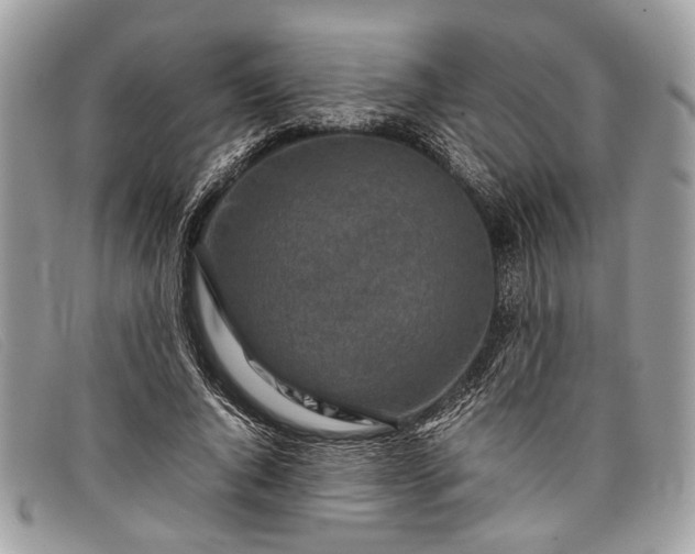 X0000098020736200804111257