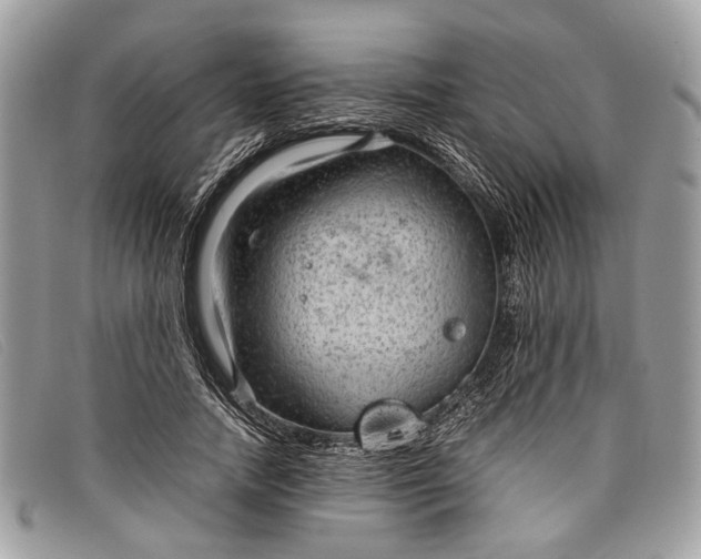 X0000098020738200804111257