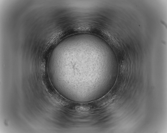 X0000098020739200804111257