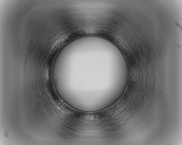 X0000098020740200804111257