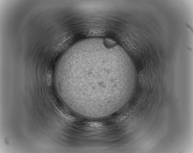 X0000098020741200804111257