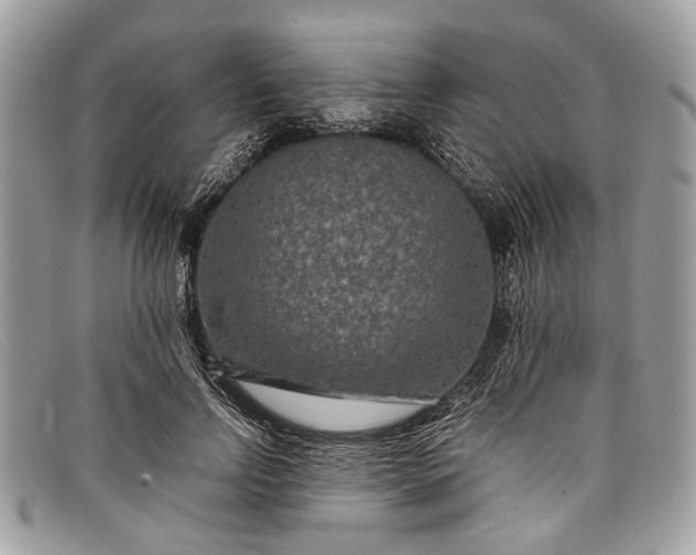 X0000098020742200804111257