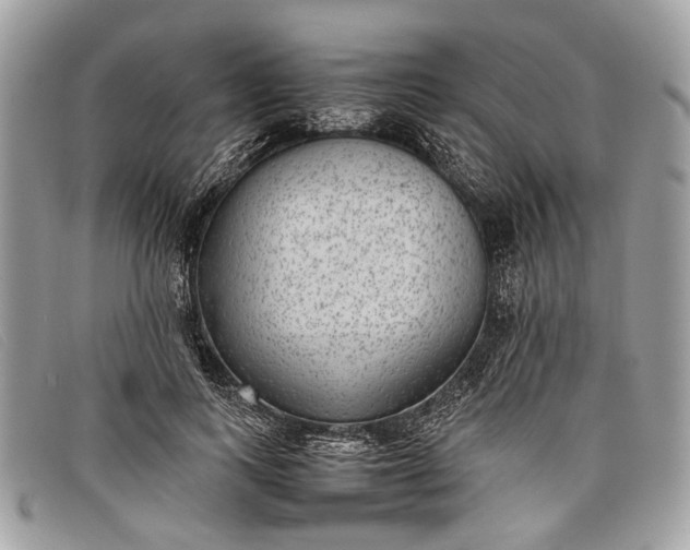 X0000098020743200804111257