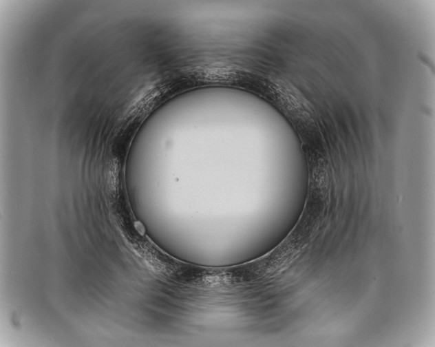 X0000098020744200804111257